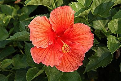 索尼前总裁助阵！nDreams最新VR游戏《Reach》公布预告